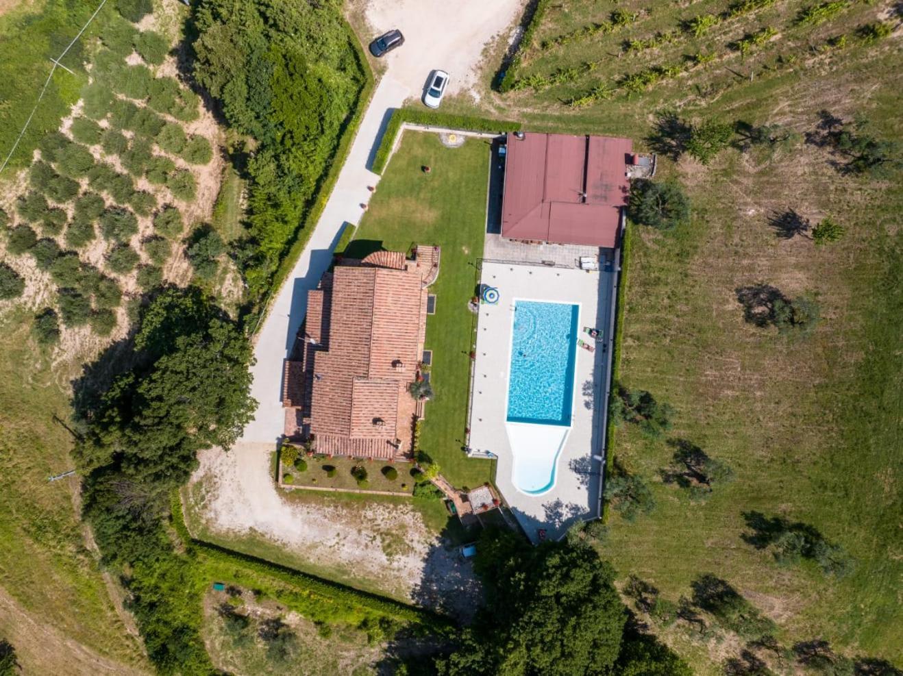 Agriturismo Isola Verde Sant'Urbano Bagian luar foto