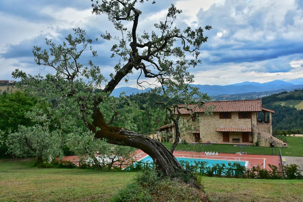 Agriturismo Isola Verde Sant'Urbano Bagian luar foto
