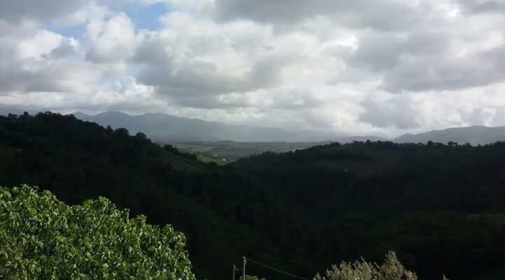Agriturismo Isola Verde Sant'Urbano Bagian luar foto