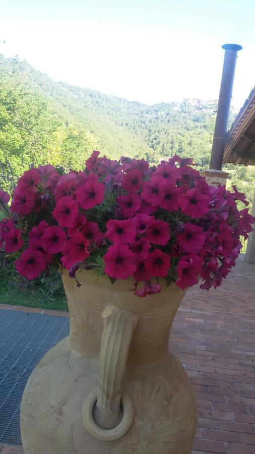 Agriturismo Isola Verde Sant'Urbano Bagian luar foto