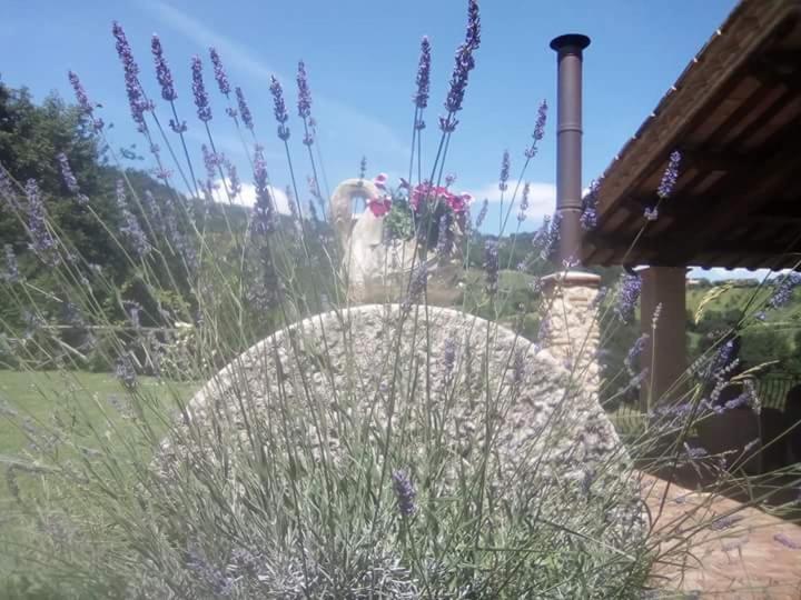 Agriturismo Isola Verde Sant'Urbano Bagian luar foto