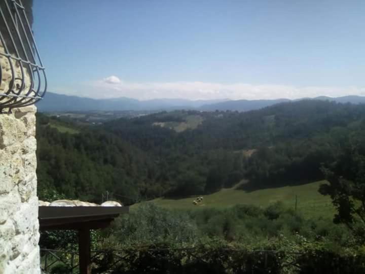 Agriturismo Isola Verde Sant'Urbano Bagian luar foto